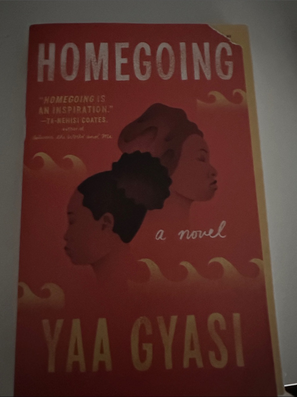 Homegoing by Yaa Gyasi - Red Novel Paperback Cover